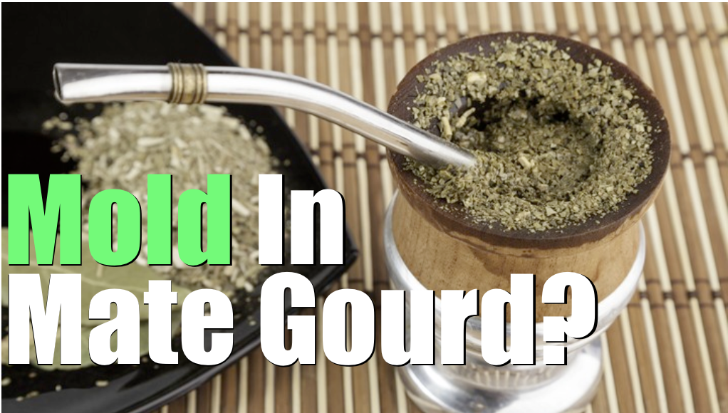 Mold In Mate Gourd: 5 Steps To WIPE OUT Mold For Good