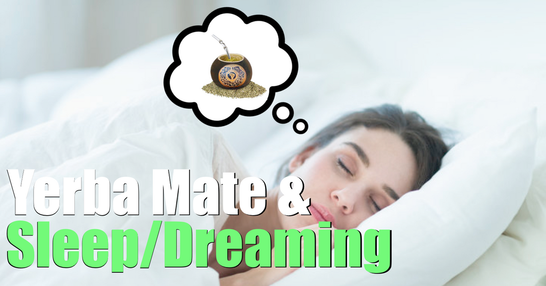 Yerba Mate Before Bed (Does It Help Sleep/Lucid Dreaming?)