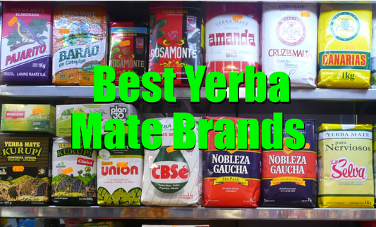 best yerba mate brands