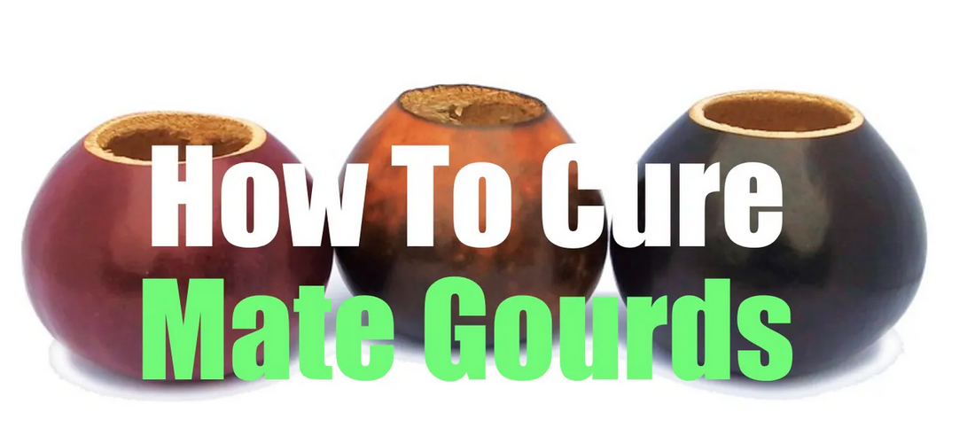 How To Cure A Mate Gourd (In 20 Minutes!)