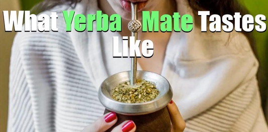 What Does Yerba Mate Taste Like? (Flavor Profile & Palate)