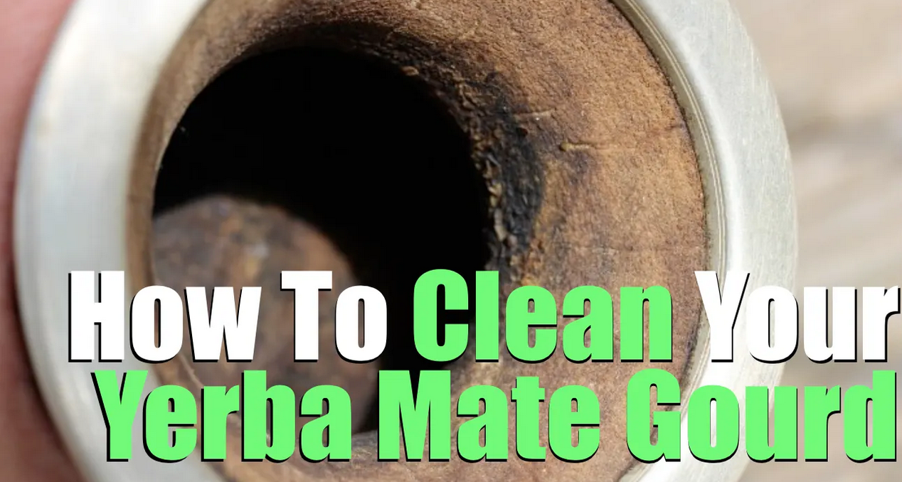 How To Clean A Yerba Mate Gourd (Fully Dried By Tomorrow!)