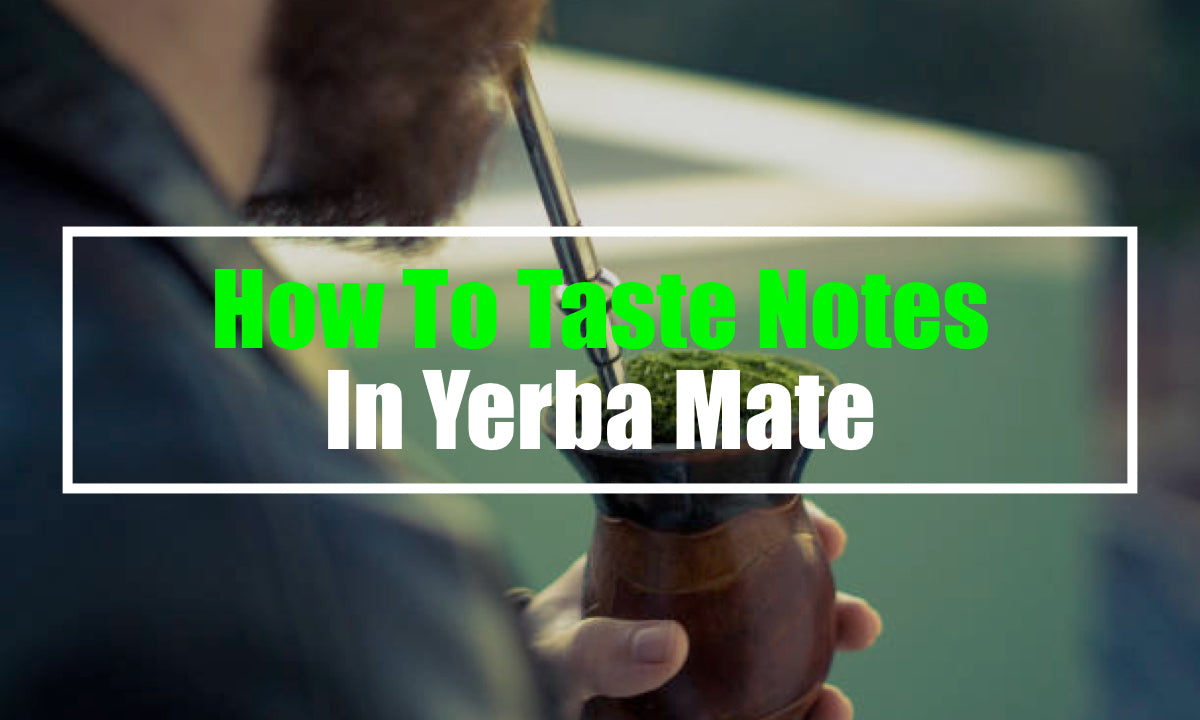 How To Taste Notes In Yerba Mate (5 Tips)