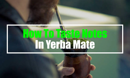 How To Taste Notes In Yerba Mate (5 Tips)