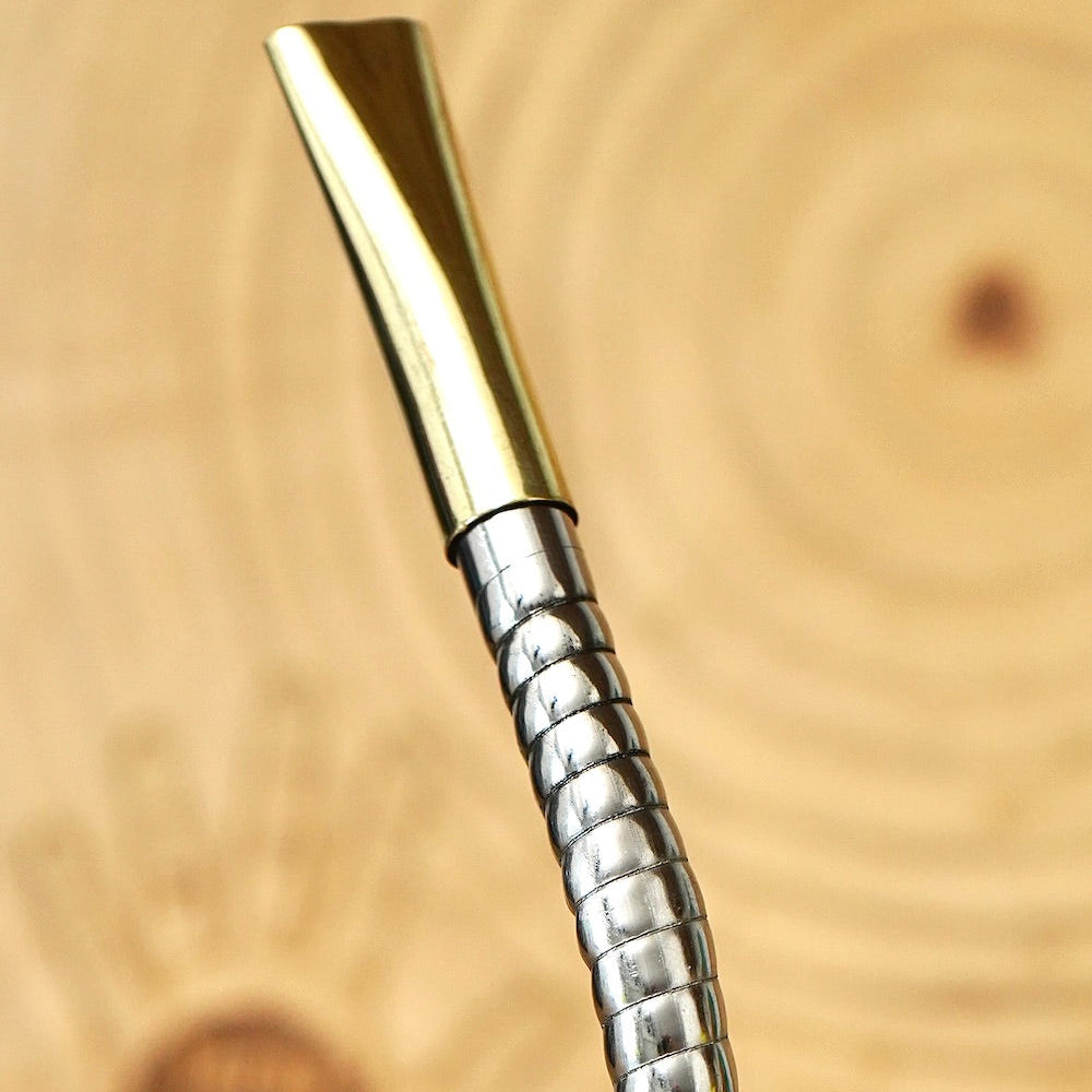 stainless steel spoon bombilla spou