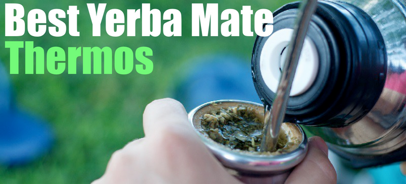 Best Yerba Mate Thermos (How To Keep Mate Hot/Cold All Day)
