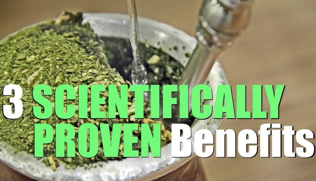 3 SCIENTIFICALLY PROVEN Yerba Mate Benefits (Sources Cited)