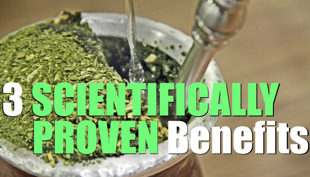 3 SCIENTIFICALLY PROVEN Yerba Mate Benefits (Sources Cited)