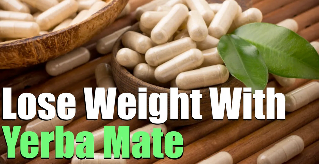 Yerba Mate Weight Loss (How I Lost 10 Pounds In 3 Weeks)