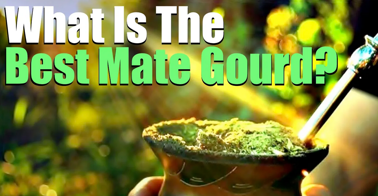 What's The Best Yerba Mate Gourd? (EVERYONE Needs This)