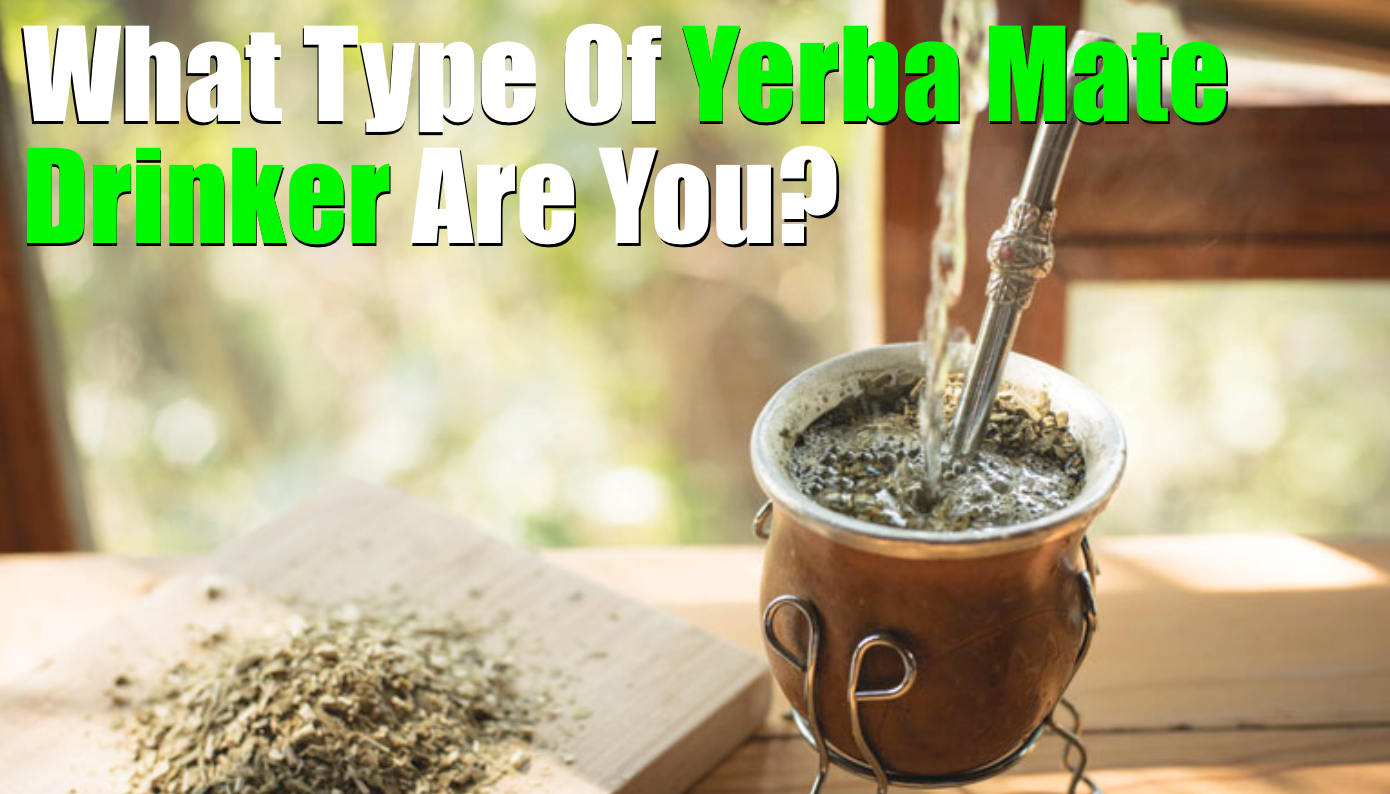 What Type Of Yerba Mate Drinker Are You? (Find Out Here!)