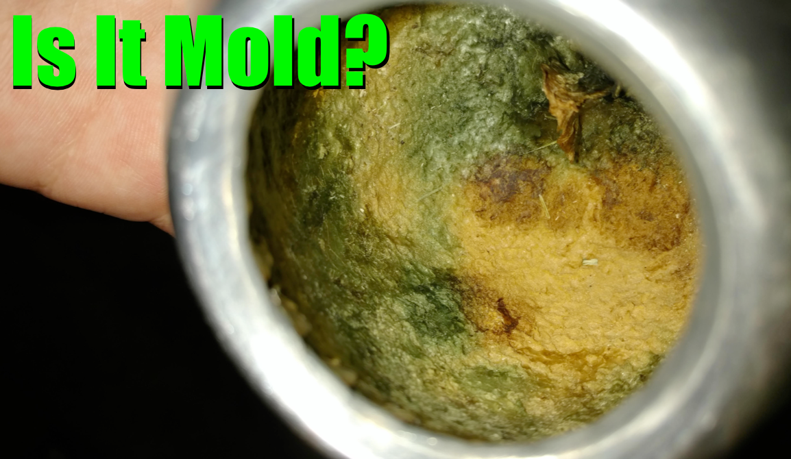 Is It Mold? (A Look Inside Various Yerba Mate Gourds)