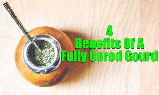 benefits of fully cured gourd