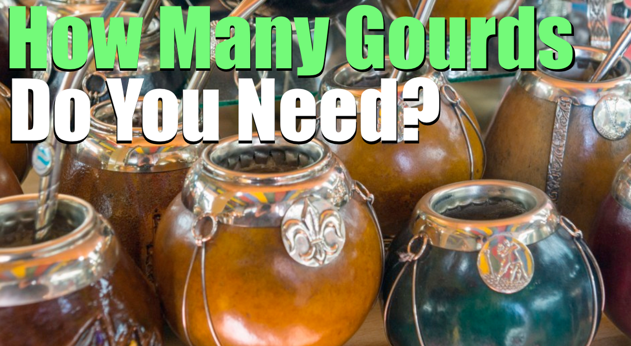 How Many Mate Gourds Do You Need (Should You Rotate?)
