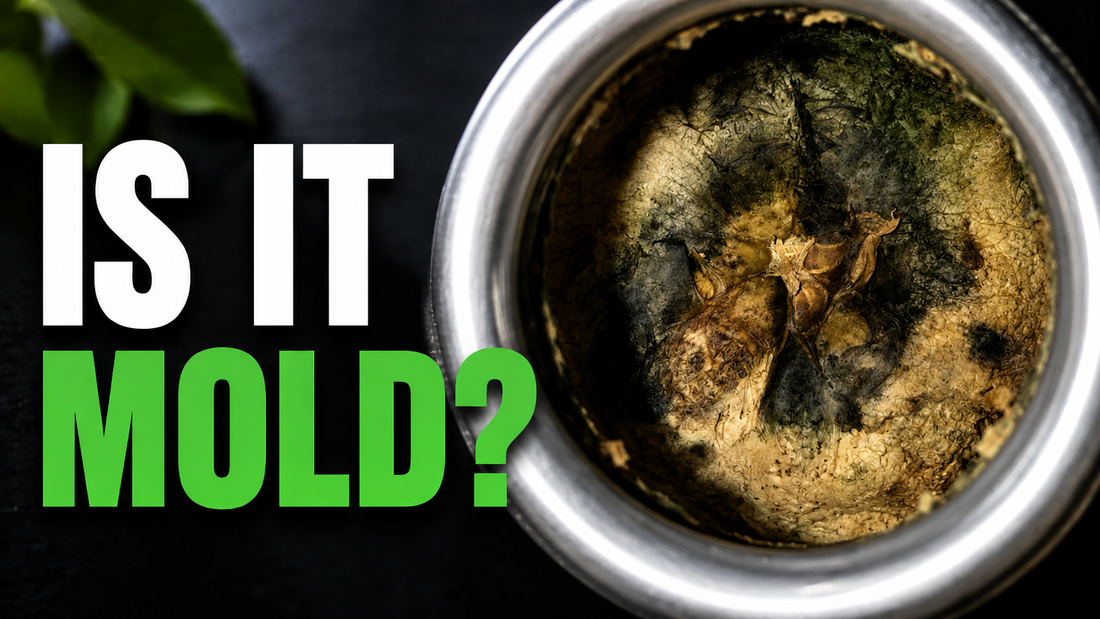 yerba mate gourd mold