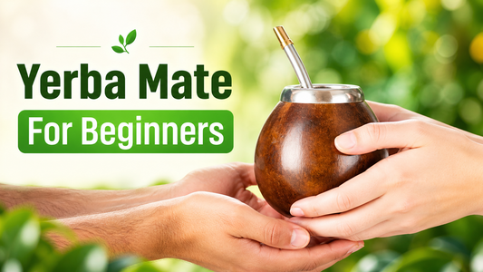 yerba mate for beginners
