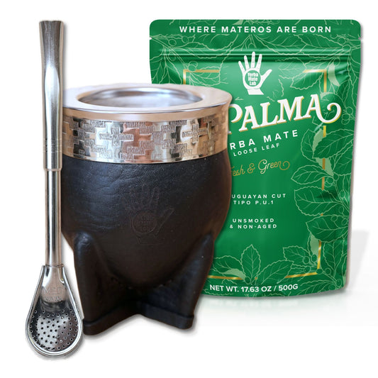 Stainless Steel Yerba Mate Kit - Steel Gourd, Bombilla, & Yerba