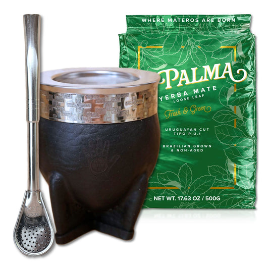 stainless steel yerba mate kit