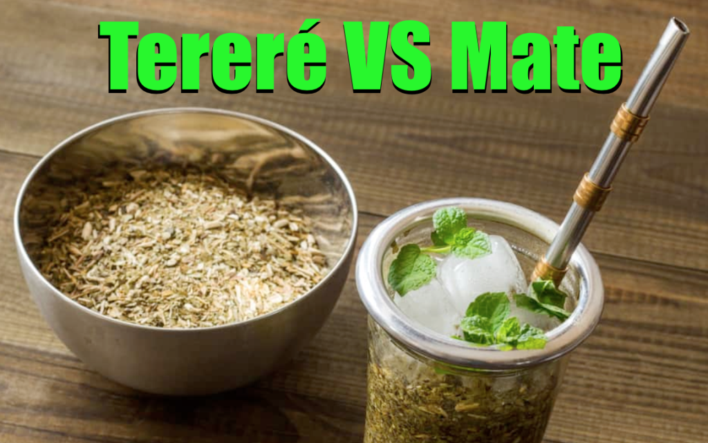 mate vs terere