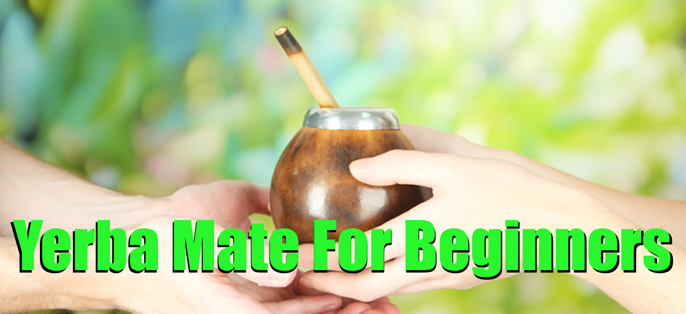 Yerba Mate For Beginners (Best Way To Get Started!) - Yerba Mate Lab
