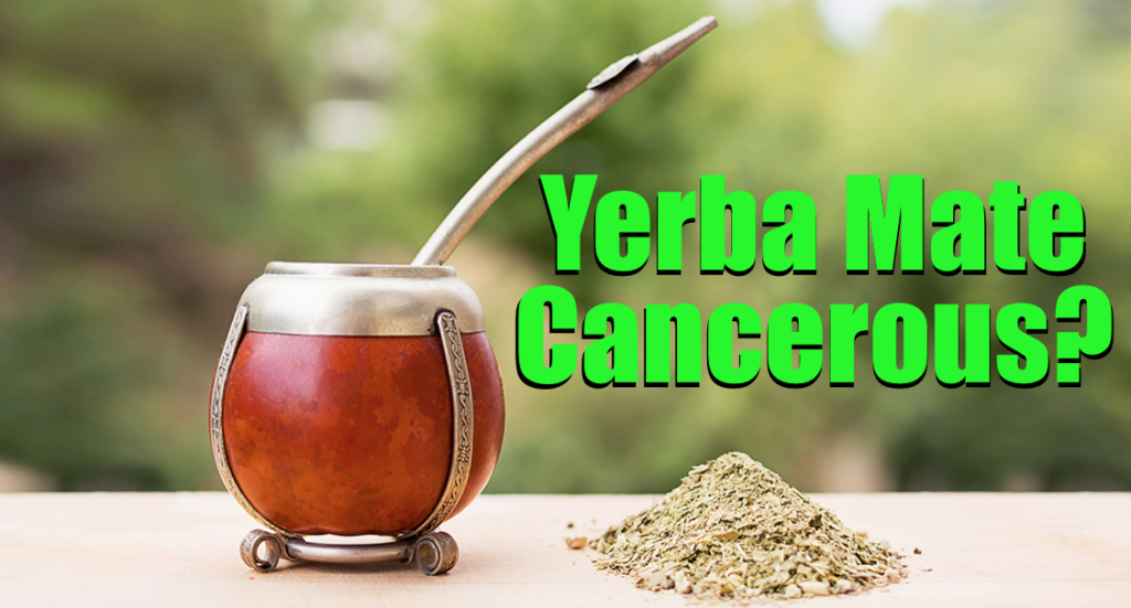 yerba-mate-cancer-risk-should-you-be-scared-my-thoughts-yerba-mate-lab