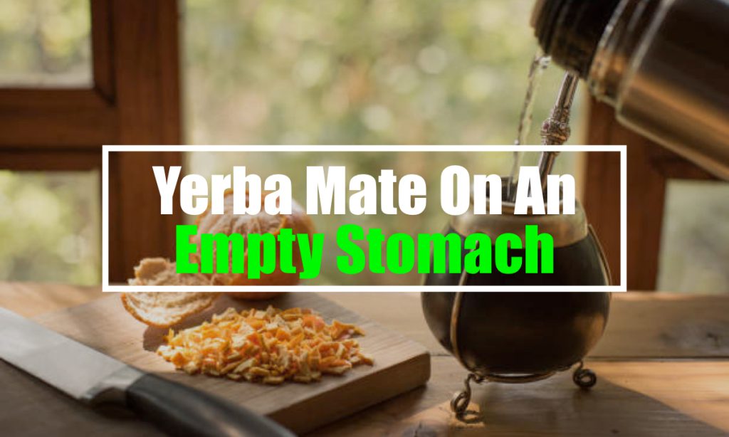 yerba mate empty stomach